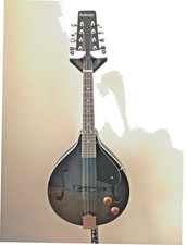 Ashbury electro acoustic for sale  NEWBURY