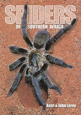 Spiders southern africa for sale  ROSSENDALE