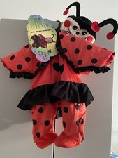 Costume carnevale coccinella usato  Comiso
