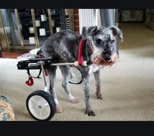 Small medium wheelchair for sale  Mason City
