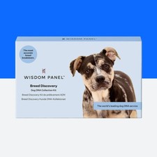 Wisdom panel breed for sale  STOKE-ON-TRENT