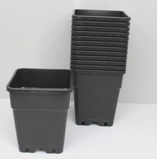 Stück blumentopf pflanzkübel gebraucht kaufen Stück blumentopf pflanzkübel gebraucht kaufen  Dortmund