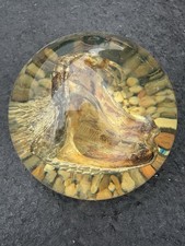 Vintage taxidermy rattlesnake for sale  Fullerton