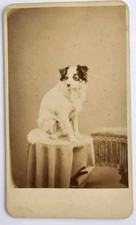Rare antique cdv for sale  Rogers