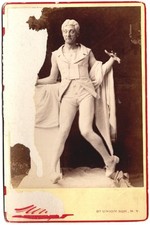 Usado, *AS INCRÍVEIS FOTOS DO ARMÁRIO DE NAPOLEÃO SARONY DE HENRY E DIXEY EM ADONIS TWO 1880* comprar usado  Enviando para Brazil