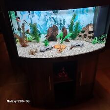 Aquarium juwel gebraucht kaufen  Nürnberg