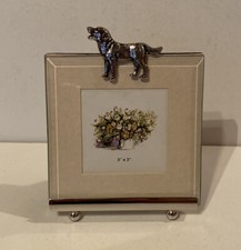 Glass fronted dog for sale  CHORLEY