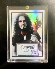 Dimebag darrell custom for sale  Paducah