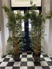 Tall fake bamboo for sale  SHREWSBURY