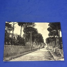 Ischia pineta bianco usato  Bari