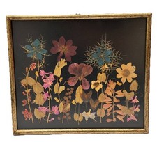 Vintage pressed dried for sale  Huntington Station