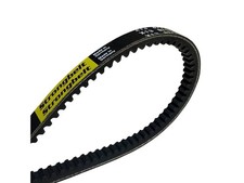 Strongbelt courroie wedge d'occasion  Expédié en France