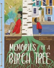 Memories birch tree for sale  Aurora