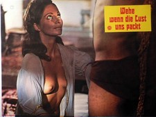 Wehe lust packt gebraucht kaufen  Ahlen-Vorhelm