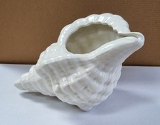 Sea shell conch for sale  KING'S LYNN