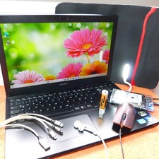 Sony vaio svs15 gebraucht kaufen  Oberweißbach/Thür. Wald