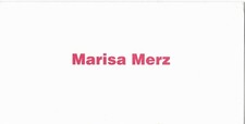 Marisa merz artepovera usato  Torino