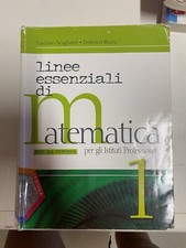 Linee essenziali matematica usato  Vinchiaturo