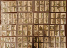 Hill cigarette cards for sale  SKIPTON