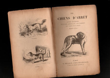 Livre ancien chiens d'occasion  France