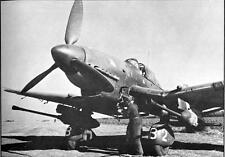ju 87g 2 stuka for sale ju 87g 2 stuka for sale Meridian