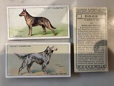 1937 wills dogs for sale  HARROGATE
