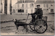 Sandillon attelage chien d'occasion Sandillon attelage chien d'occasion  France