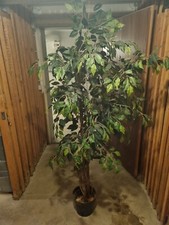 Künstlicher ficus topf gebraucht kaufen  Renningen