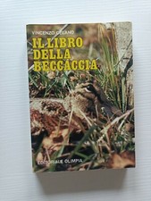 Vincenzo celano libro usato  Roma