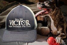 Victor pet food for sale  Willow