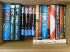 Bücher jugendromane fantasy gebraucht kaufen  Weyhe