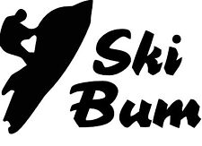 Ski bum jet for sale  Kendallville