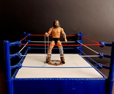 Bruiser brody wwe for sale  Concord