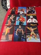 Hulk hogan d'occasion  Expédié en Belgium