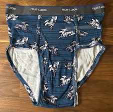Vintage fruit loom for sale  Cincinnati