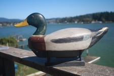 Mallard drake decoy for sale  Lincoln City