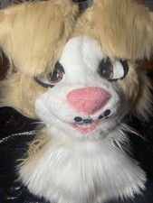 Collie shark dog for sale  Philadelphia