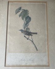 Framed 1st ed. for sale  Southampton