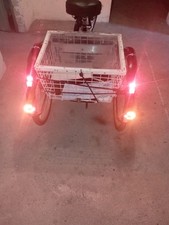 Dreirad48v . 750w gebraucht kaufen  Dortmund