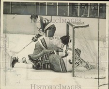 Press photo nhl for sale  Memphis