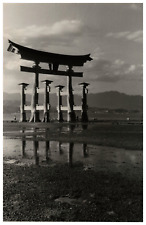 Japon miyajima temple d'occasion  Pagny-sur-Moselle