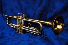 Tromba f.e. olds usato  Ivrea