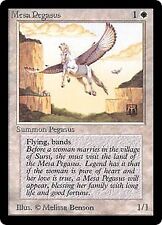Magic mtg mesa d'occasion  Ivry-sur-Seine