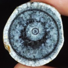 27.35 carat. naturel d'occasion  Expédié en France