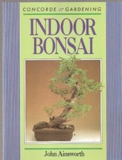 Indoor bonsai john for sale  USA