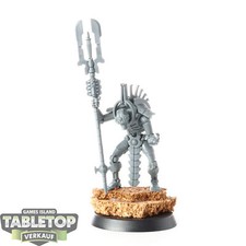 Necrons cryptek bemalt gebraucht kaufen  Hof