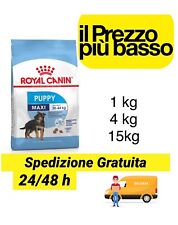 Crocchette royal canin usato  Sansepolcro