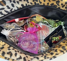 Costume jewelry bag for sale  Absarokee