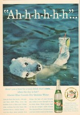 1960 Canadá Água Quinina Seca Urso Polar Bebida Tônica Publicidade Vintage, usado comprar usado  Enviando para Brazil