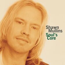 Shawn mullins soul gebraucht kaufen  Deutschland
